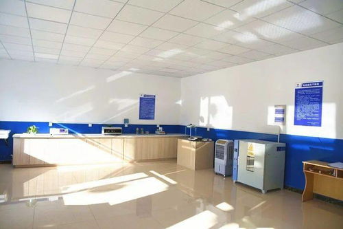 铸就精品工程，打造一局品牌 建筑技术咨询服务的核心价值与实践路径